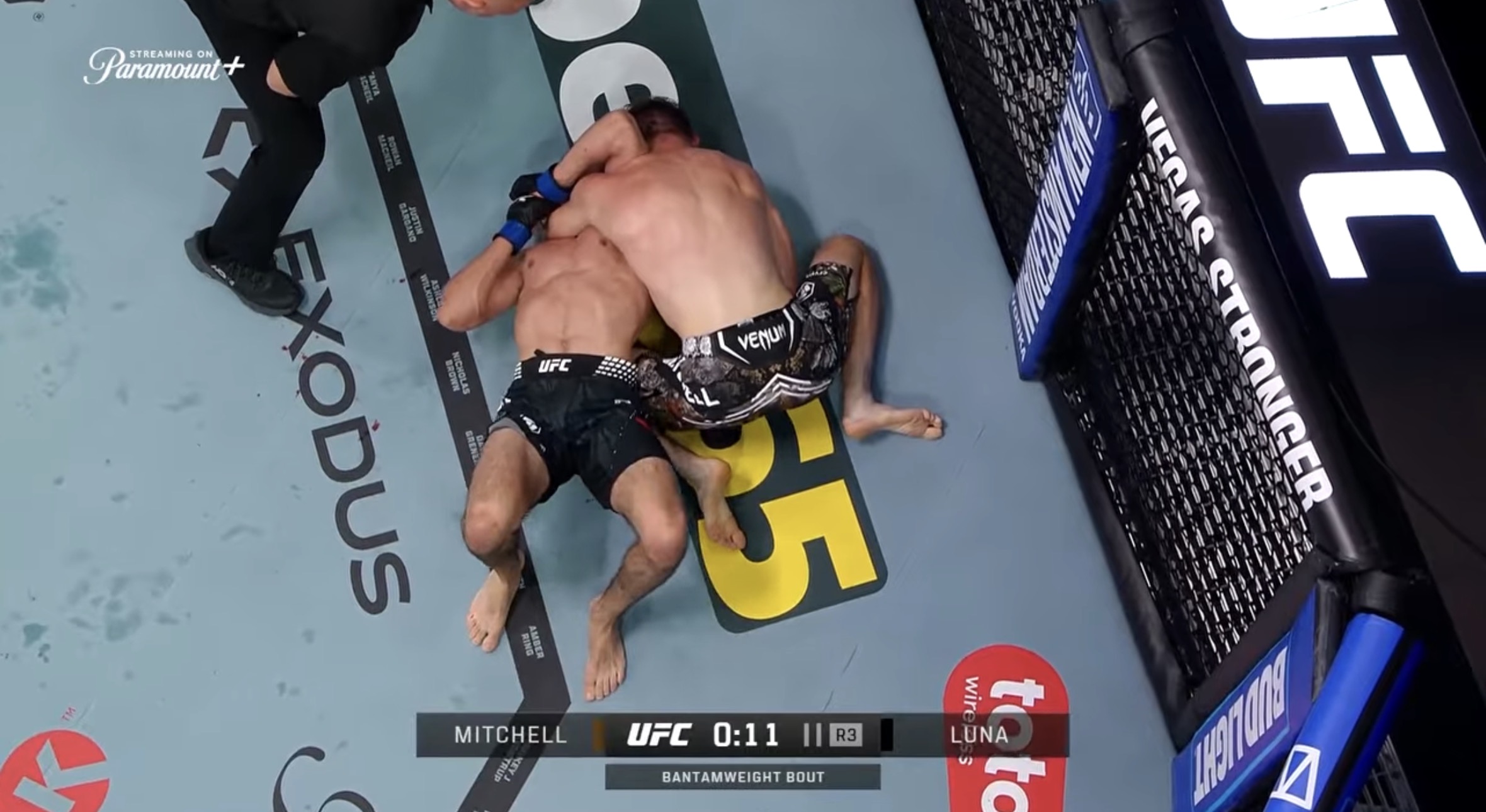 UFC 118